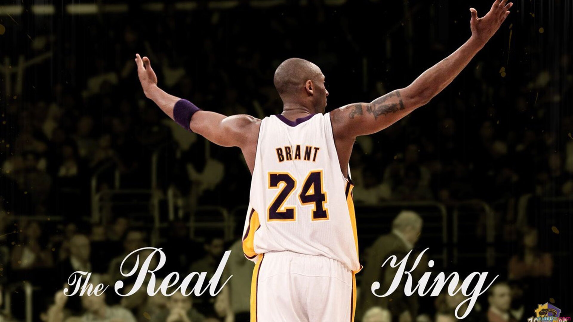 CBA外援政策调整引发关注，cba 外援政策